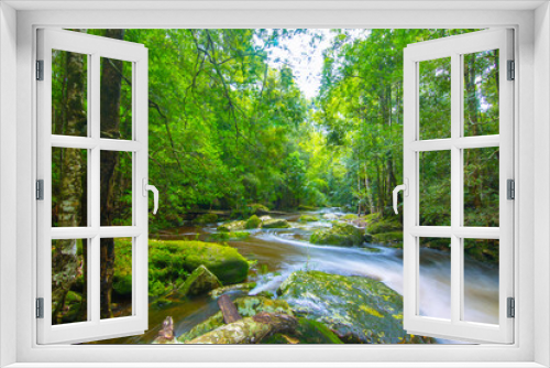 Fototapeta Naklejka Na Ścianę Okno 3D - river in green forest on rainy season