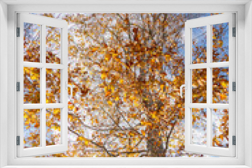 Fototapeta Naklejka Na Ścianę Okno 3D - autumn tree in the golden turn