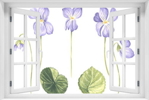 Fototapeta Naklejka Na Ścianę Okno 3D - Watercolor set of wild violet flowers with and green leaves. Isolated hand drawn illustration spring blossom field pansy Viola. Floral botanical template for postcard, packaging, textile and sticker