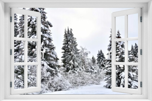 Fototapeta Naklejka Na Ścianę Okno 3D - Winter scenery with snowy trees 