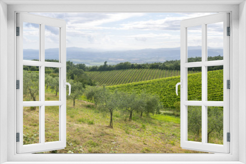 Fototapeta Naklejka Na Ścianę Okno 3D - Montalcino (Tuscany, Italy)