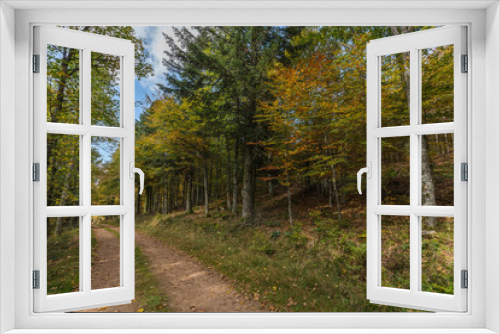 Fototapeta Naklejka Na Ścianę Okno 3D - chemin de forêt en automne