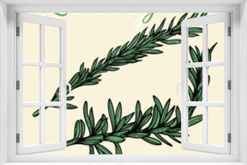 Fototapeta Naklejka Na Ścianę Okno 3D - Vector hand drawn rosemary branch in engraving style. Colored vintage art. Herbs and spices. Fresh green italian cuisine. for restaurant, meal, market, store, menu, party decoration,