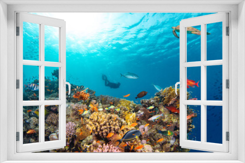 Fototapeta Naklejka Na Ścianę Okno 3D - Underwater Tropical Corals Reef with colorful sea fish. Marine life sea world. Tropical colourful underwater seascape.