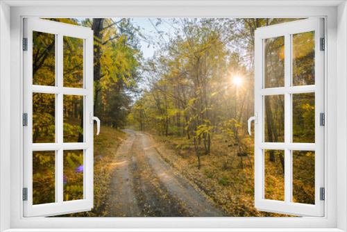 Fototapeta Naklejka Na Ścianę Okno 3D - Dirt Road in a Pine Forest During a Warm Autumn Sunrise, Curving Right, Surrounded by Pine Trees, Captured at a Wide Angle