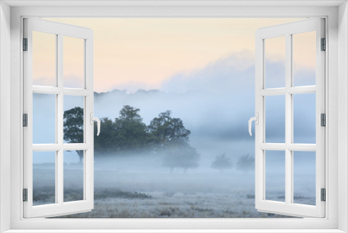 Fototapeta Naklejka Na Ścianę Okno 3D - Beautiful thick fog sunrise Autumn Fall countryside landscape wi