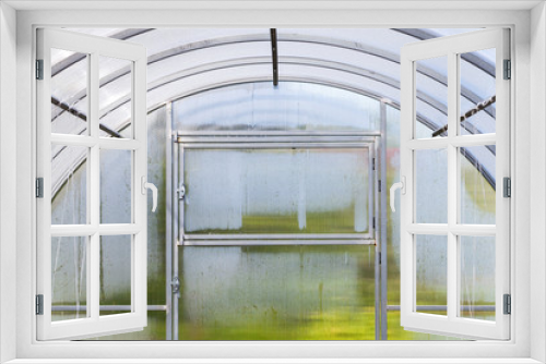 Fototapeta Naklejka Na Ścianę Okno 3D - Fragment of modern greenhouse interior with wet walls