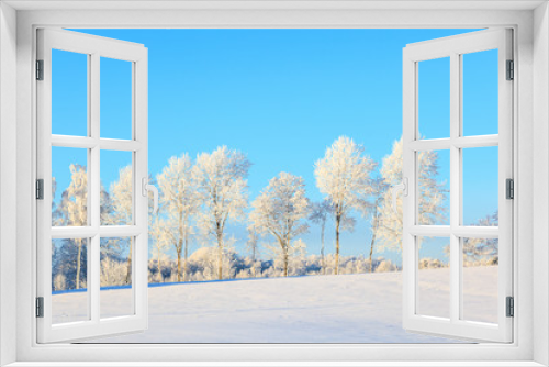 Fototapeta Naklejka Na Ścianę Okno 3D - Frosty treeline in winter landscape