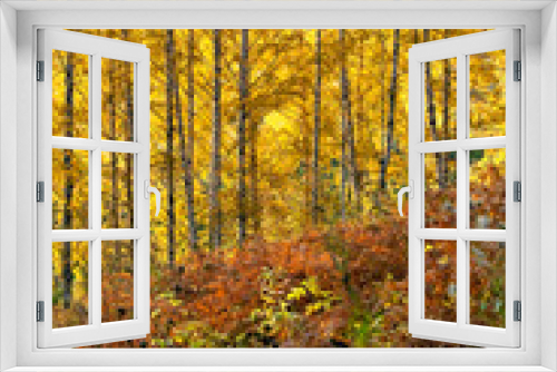 Fototapeta Naklejka Na Ścianę Okno 3D - Trees in autumn forest