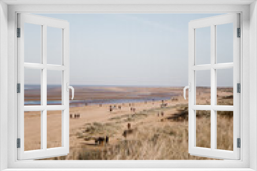 Fototapeta Naklejka Na Ścianę Okno 3D - Vista of Beach Visitors on Hunstanton Beach, UK from Clifftop View