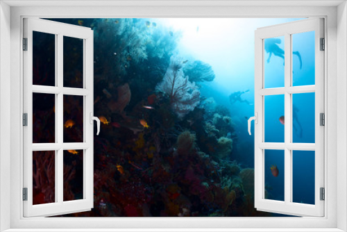 Fototapeta Naklejka Na Ścianę Okno 3D - Divers