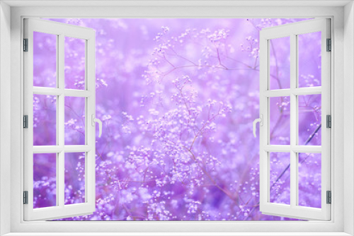 Fototapeta Naklejka Na Ścianę Okno 3D - Flowers purple background