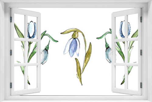 Fototapeta Naklejka Na Ścianę Okno 3D - A set of bouquets of delicate snowdrops for your design. Bouquet of open flower and bud. Hand drawn watercolor illustration of the first spring flowers on a white background.
