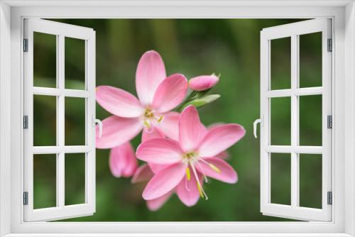 Fototapeta Naklejka Na Ścianę Okno 3D - spring flower background