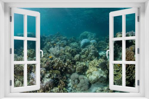 Fototapeta Naklejka Na Ścianę Okno 3D - Reef in the Philippines