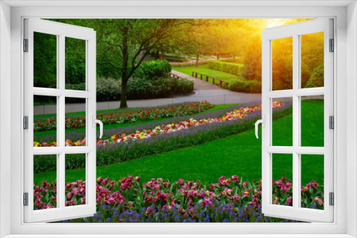 Fototapeta Naklejka Na Ścianę Okno 3D - Spring flower park  in the sunlight