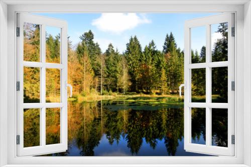 Fototapeta Naklejka Na Ścianę Okno 3D - Waldsee im Herbst mit Spiegelung