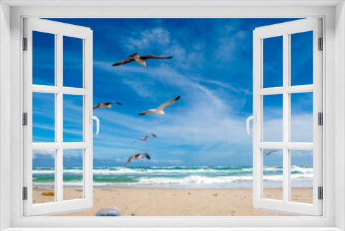 Fototapeta Naklejka Na Ścianę Okno 3D - Seagulls flying over beach