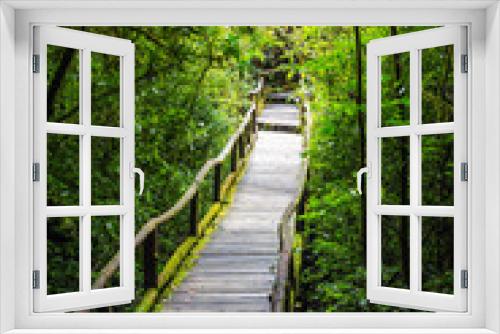 Fototapeta Naklejka Na Ścianę Okno 3D - Wooden bridge in tropical rain forest