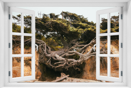 Fototapeta Naklejka Na Ścianę Okno 3D - Tree of Life