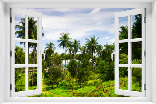 Fototapeta Naklejka Na Ścianę Okno 3D - Under Palms Green View