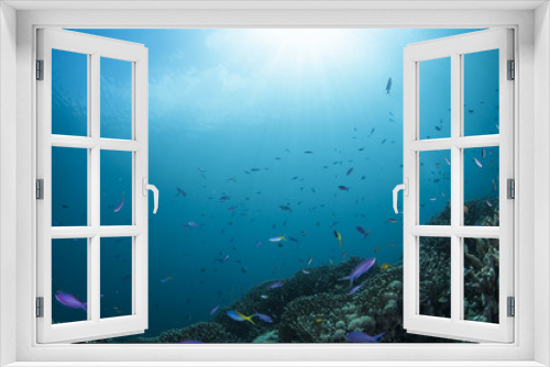 Fototapeta Naklejka Na Ścianę Okno 3D - 海底の景色