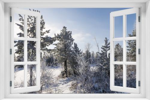 Fototapeta Naklejka Na Ścianę Okno 3D - Scenic winter forest landscape in the north of Russia
