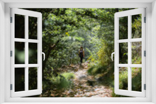 Fototapeta Naklejka Na Ścianę Okno 3D - Backpacking woman at the end of a trail in dense forest of Pyren