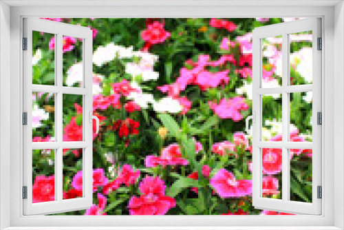 Fototapeta Naklejka Na Ścianę Okno 3D - Flower garden.