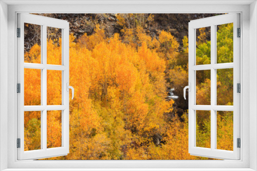 Fototapeta Naklejka Na Ścianę Okno 3D - Bishop, Autumn, Fall Color