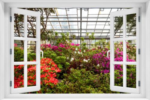 Fototapeta Naklejka Na Ścianę Okno 3D - spring, landscape, flowering, blooming garden, flowers, tropics, greenhouse, without people