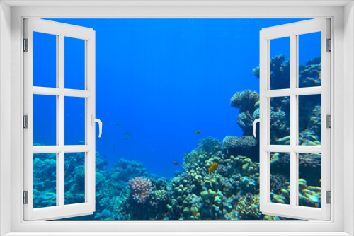 Fototapeta Naklejka Na Ścianę Okno 3D - Amazing  coral reef and fish