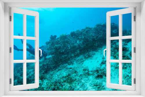 Fototapeta Naklejka Na Ścianę Okno 3D - Diver and biorocks in Gili Lombok Nusa Tenggara Barat underwater