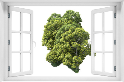 Fototapeta Naklejka Na Ścianę Okno 3D - Green forest isolated on background. 3d rendering - illustration
