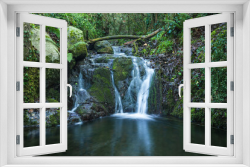 Fototapeta Naklejka Na Ścianę Okno 3D - Pequeña cascada en un arroyo de un bosque del Montseny