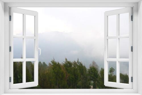Fototapeta Naklejka Na Ścianę Okno 3D - Misty Morning in The Forest