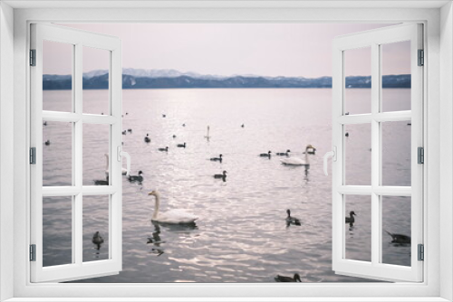 Fototapeta Naklejka Na Ścianę Okno 3D - 猪苗代湖畔の白鳥と磐梯山