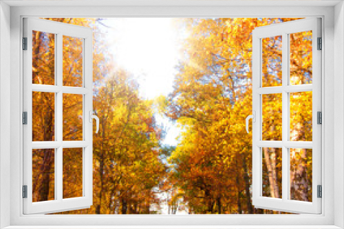 Fototapeta Naklejka Na Ścianę Okno 3D - Forest Landscape Wallpaper Sunshine