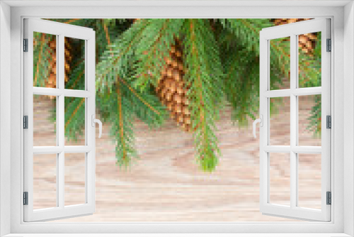 Fototapeta Naklejka Na Ścianę Okno 3D - fir tree border