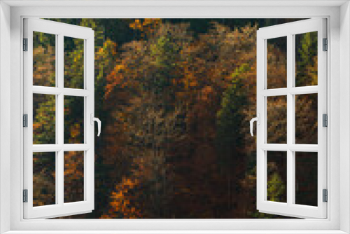 Fototapeta Naklejka Na Ścianę Okno 3D - Kollektion von mehreren farbigen Bäumen auf einem Berghang im Herbst