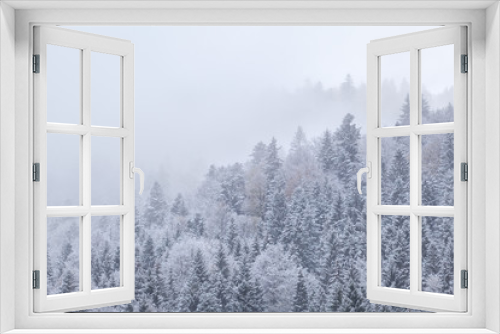 Fototapeta Naklejka Na Ścianę Okno 3D - winter forest in snow and fog