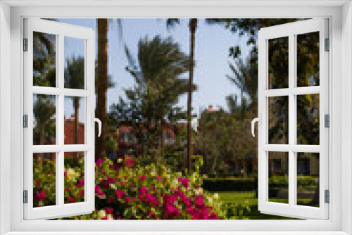 Fototapeta Naklejka Na Ścianę Okno 3D - Beautiful bush with blooming pink flowers in an exotic park with a trimmed lawn against the backdrop of tall palm trees, vertical photo