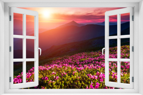 Fototapeta Naklejka Na Ścianę Okno 3D - flower