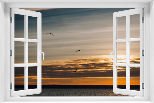 Fototapeta Naklejka Na Ścianę Okno 3D - Beautiful seagulls, a small flock of wild birds fly high soaring in the sky with clouds over the sea, ocean at sunset. Photograph of an animal, evening landscape, beauty of nature, silhouette.