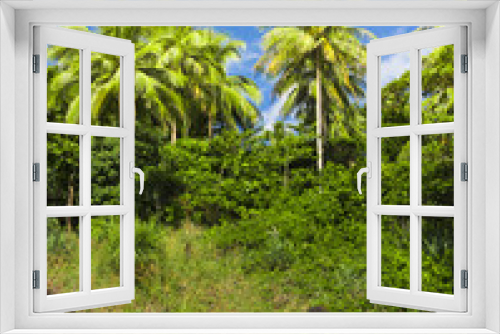Fototapeta Naklejka Na Ścianę Okno 3D - Coconut Getaway Idyllic Day