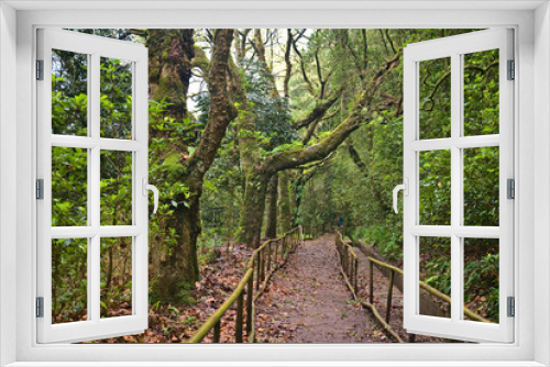 Fototapeta Naklejka Na Ścianę Okno 3D - Madeira, Portugal - January 2024: Parque Florestal das Queimadas