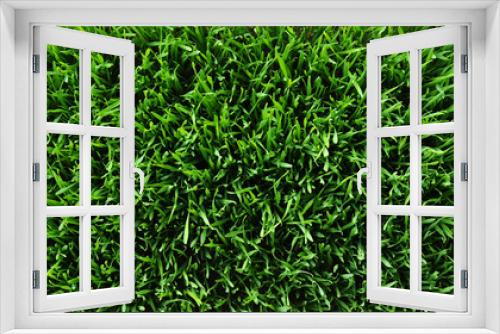 Fototapeta Naklejka Na Ścianę Okno 3D - Background of a green grass