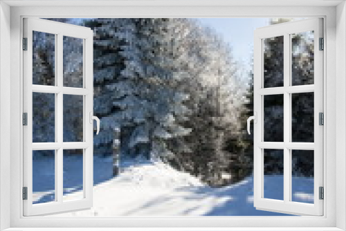 Fototapeta Naklejka Na Ścianę Okno 3D - winter