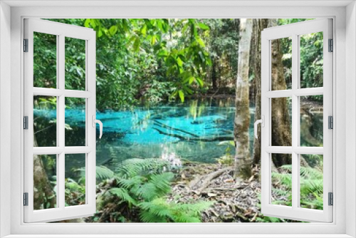 Fototapeta Naklejka Na Ścianę Okno 3D - tropical forest in the jungle