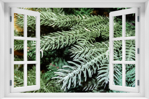 Fototapeta Naklejka Na Ścianę Okno 3D - Branches of an artificial Christmas tree. Details
